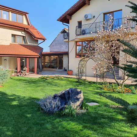 Bed and Breakfast Casa Irinella Satu Mare Exterior foto