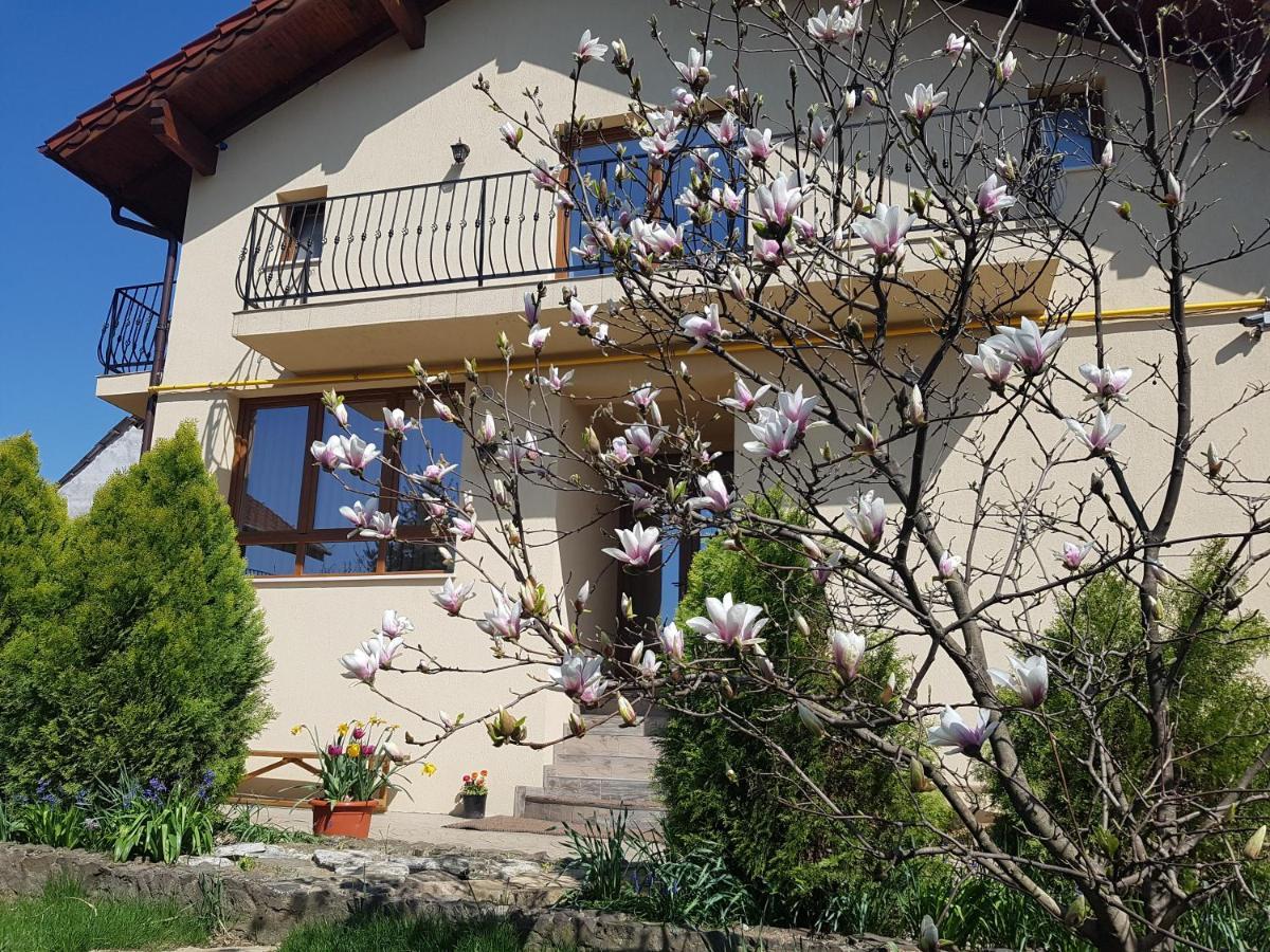 Bed and Breakfast Casa Irinella Satu Mare Exterior foto