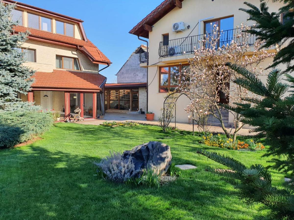 Bed and Breakfast Casa Irinella Satu Mare Exterior foto
